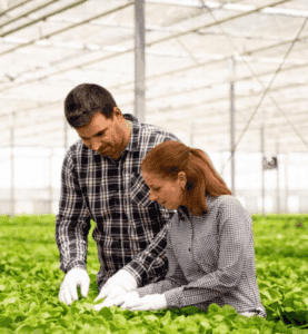 Agriculture automation dashboard