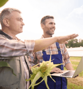 Agriculture industry section