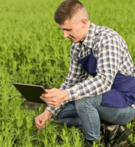 Agriculture industry section